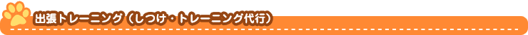 出張トレーニング(しつけ・トレーニング代行)
